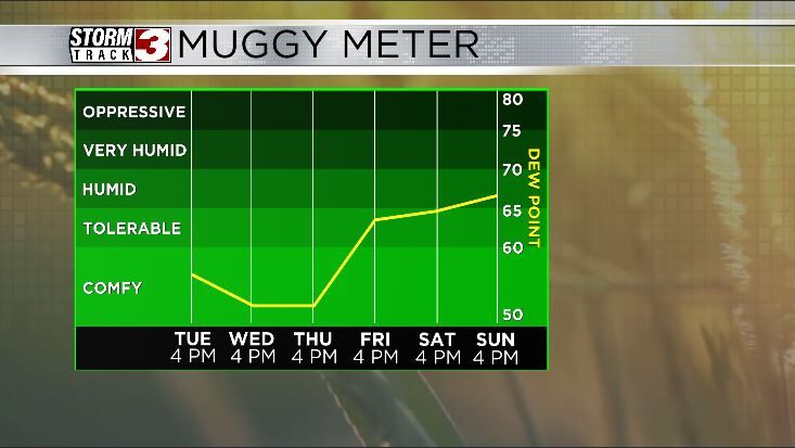 Muggy Meter